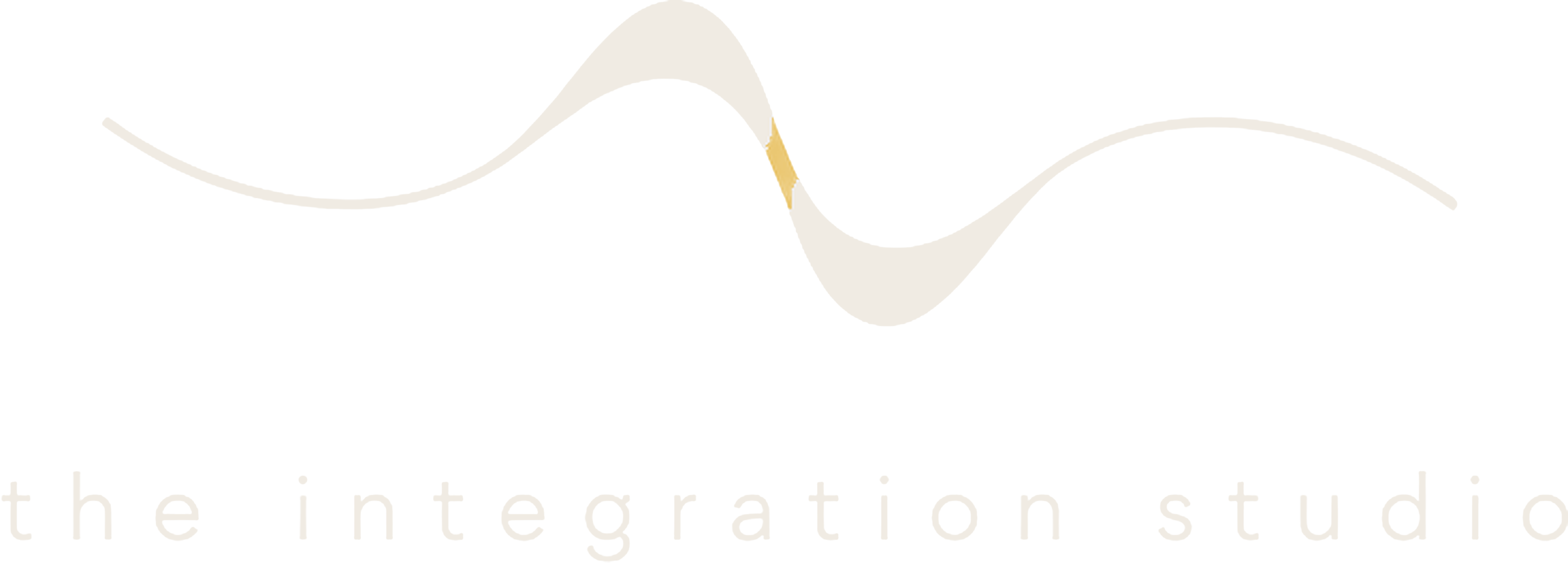 the integration studio