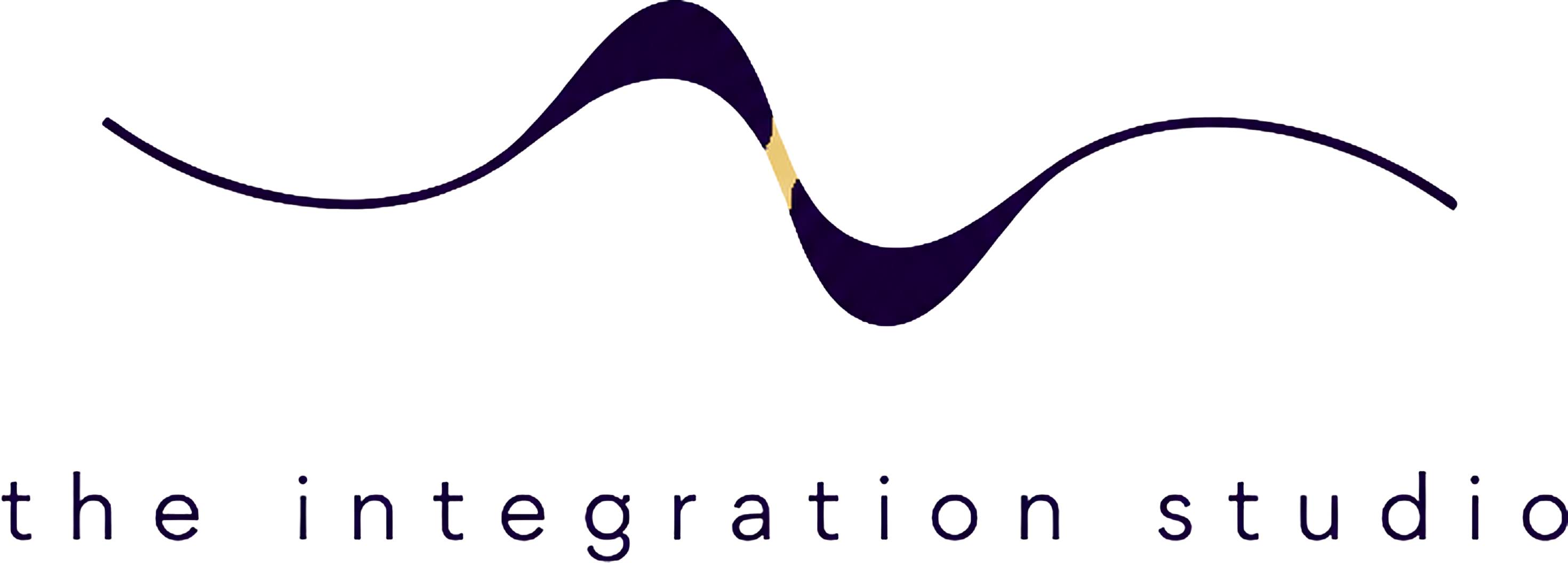 the integration studio